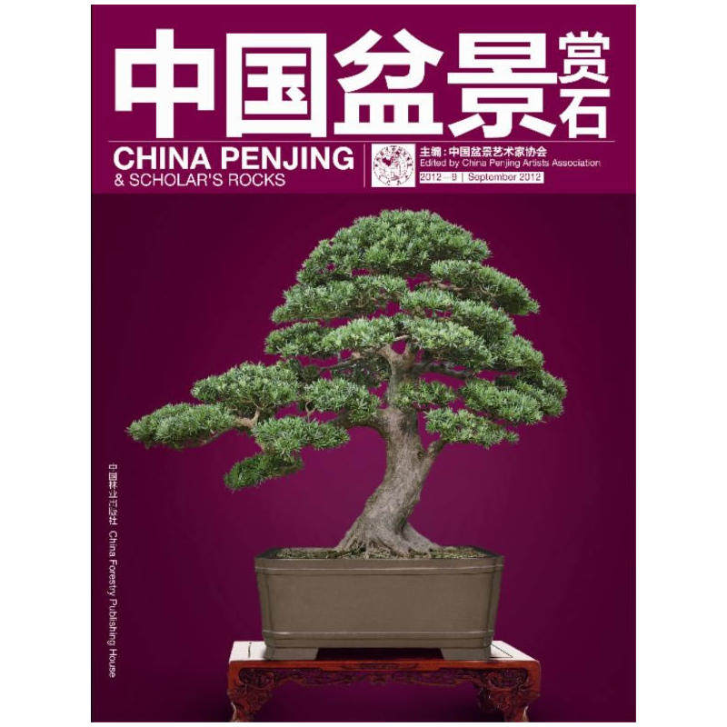 中国盆景赏石20129