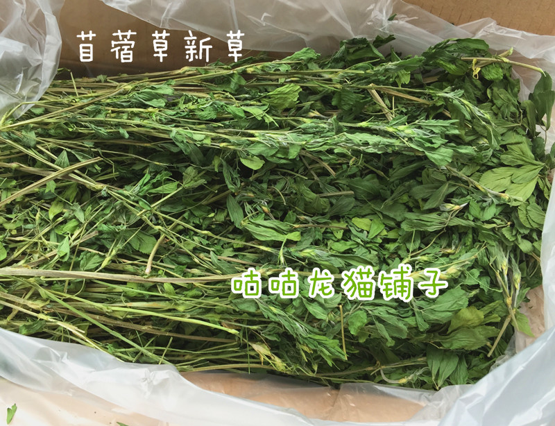 包邮~24年头茬精品烘干苜蓿草龙猫兔子豚鼠 长肥补钙 富含蛋白质 宠物/宠物食品及用品 饲料/零食 原图主图