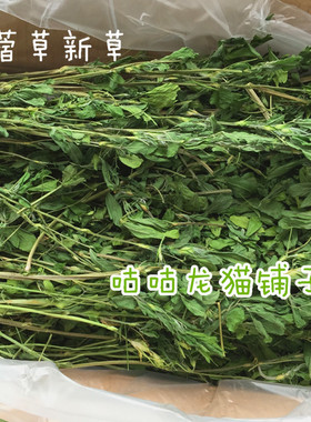25年头茬精品烘干紫花苜蓿草龙猫兔子豚鼠牧草长肥补钙富含蛋白质
