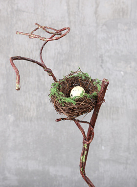 鸟蛋橱窗拍摄森林系艺术风道具