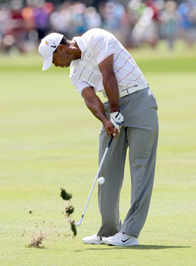 高尔夫明星海报老虎伍兹房间客厅海报装饰高尔夫球会所挂画T2770A