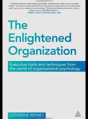 【预售】The Enlightened Organization: Executive Tools and