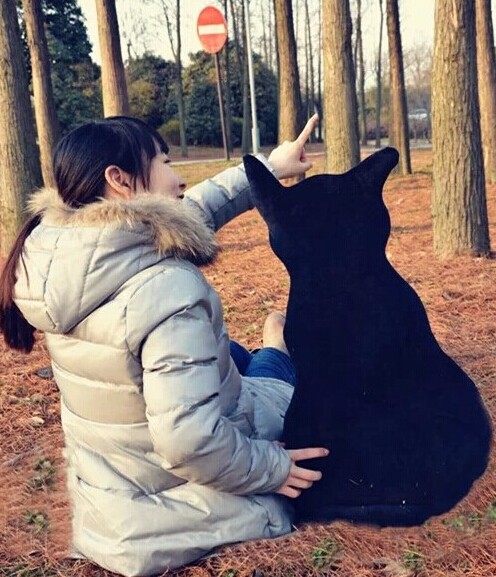 日系小情调猫背影抱枕猫咪沙发靠背坐垫椅垫飘窗垫毛绒玩具
