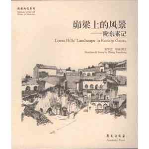 峁梁上的风景——陇东素记