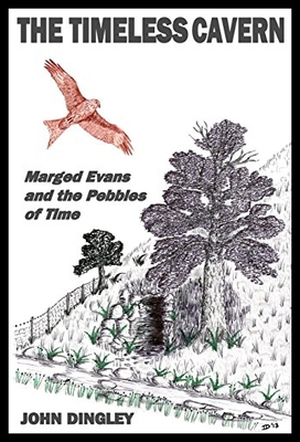 【预售】The Timeless Cavern: Marged Evans and the Pebbles