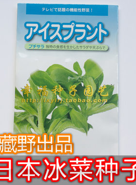 保健植物【冰草种子】冰菜可水培