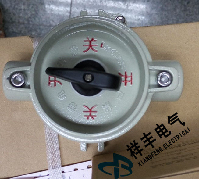 sw-10防爆照明开关bzm-10防爆防尘单极开关10a单联控制开关380v