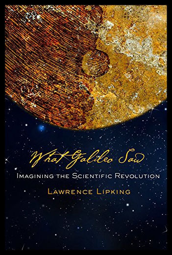 美国库房发货，通常付款后5-8周到货！