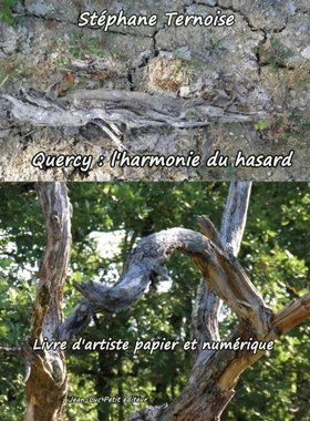【预售】Quercy: L'Harmonie Du Hasard: Livre D'Artiste ...