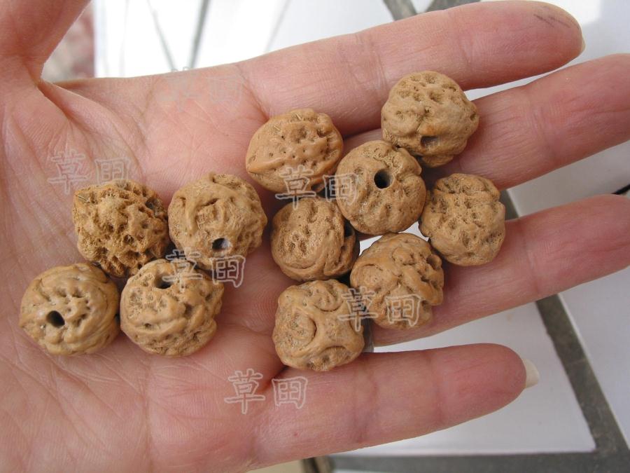 diy原籽麒麟眼散珠菩提籽种特价