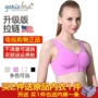 Genie bra thế hệ thứ năm năm thế hệ khóa kéo phía trước không có áo ngực thể thao không có vành đồ lót TV chính hãng - TV tivi panasonic 43 inch