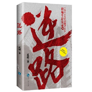 逆路——一部民企高管亲笔写就的职场生存实录