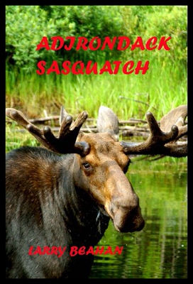 【预售】Adirondack Sasquatch