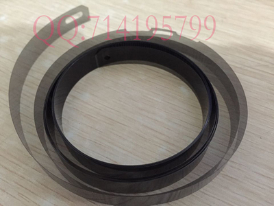 爱普生S30680光栅条 S70680  S50680 打印机光栅尺带孔