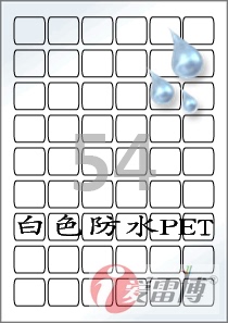 标签纸 不干胶 爱雷博 白色PET防水标签CL554WP 100张