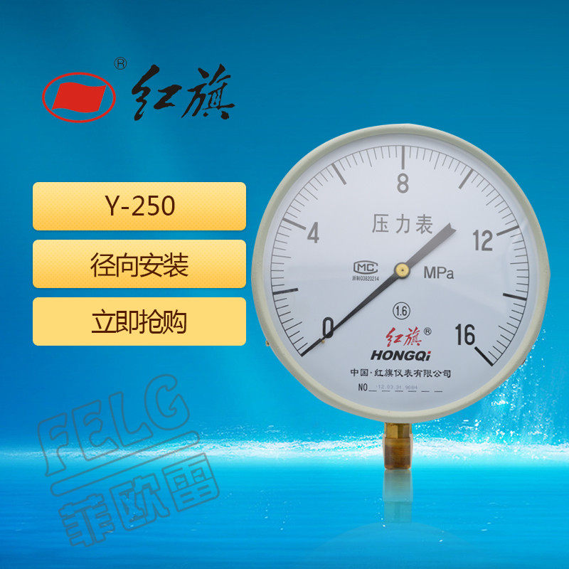 红旗普通径向压力表Y-250 1.6级0-1/1.6/2.5mpa公制螺纹特规定做