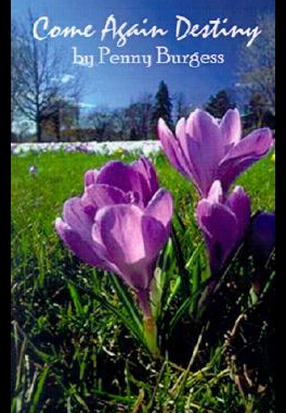 【预售】Come Again Destiny