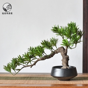 新中式样板房仿真树罗汉松陶瓷花瓶盆栽客厅茶室艺术书架简约摆件