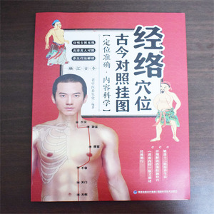 正版现货 经络穴位古今对照挂图 老中医养生堂编著 福建科学技术出版社