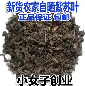紫苏叶去腥中药材500g包邮