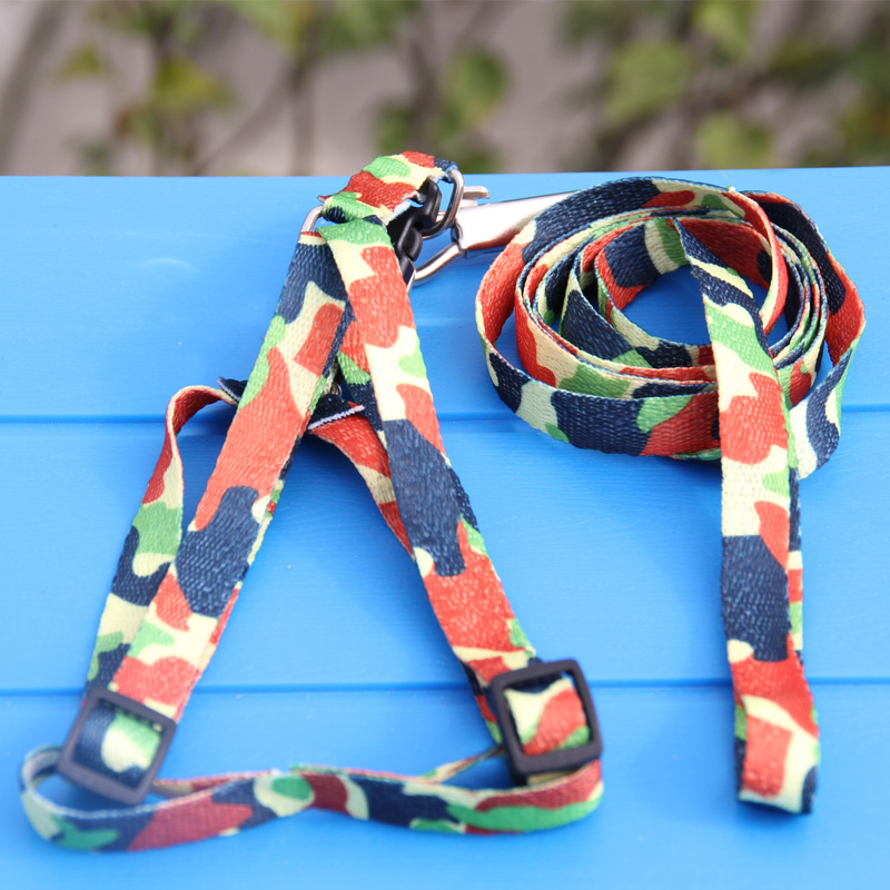 小号胸背带酷迪脚印牵引绳