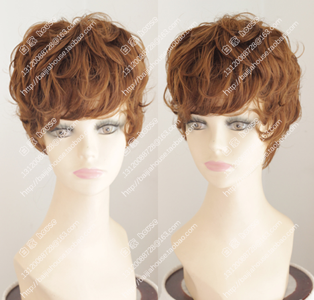 Perruque OTHER   cheveux courts - Ref 2609781 Image 1