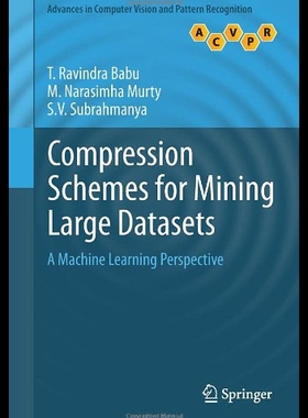 【预售】Compression Schemes for Mining Large Datasets: A