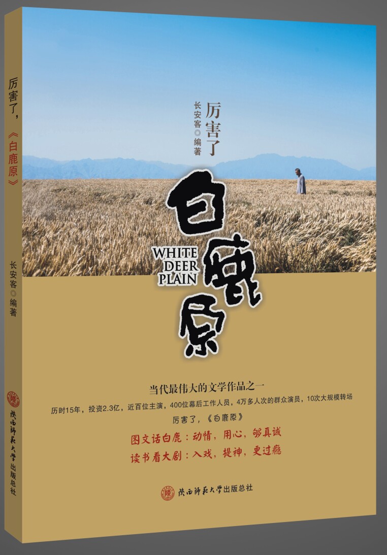 厉害了,《白鹿原》电影/电视艺术