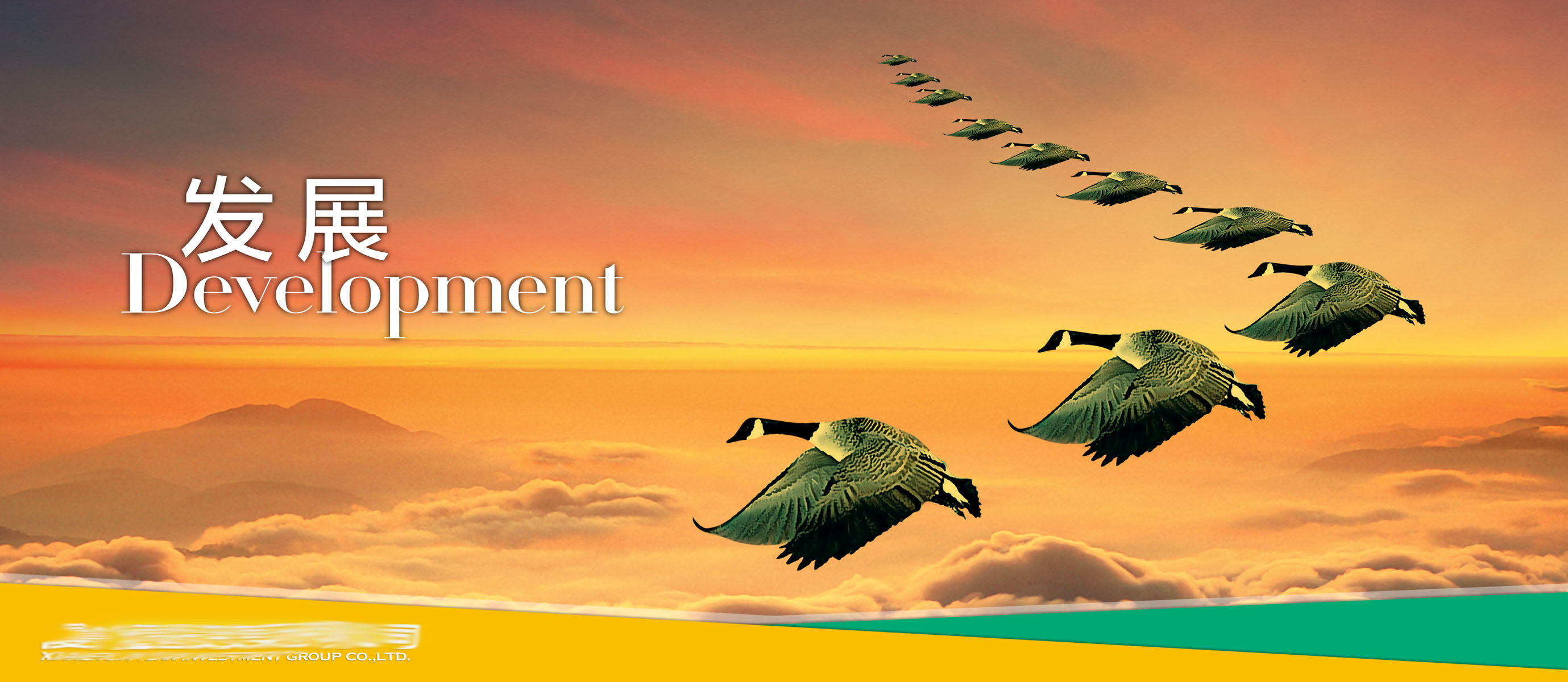 361海报印制7大雁鸟团队发展前途psd