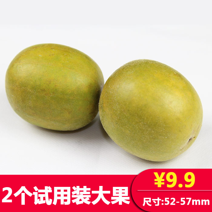 个试用装大果包邮2广西桂林特产罗汉果茶低温脱水冻干罗汉果新果