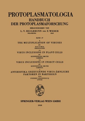 美国库房发货,通常付款后5-8周到货！