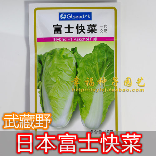 白菜武藏野极早熟快菜耐热半结球