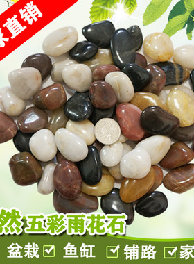 天然五彩石雨花石鱼缸园艺