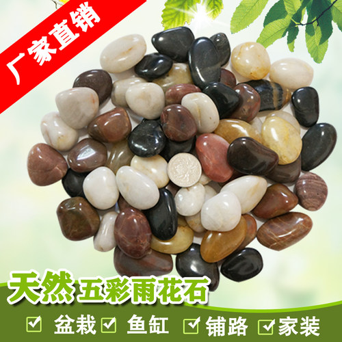 天然五彩石雨花石鱼缸园艺