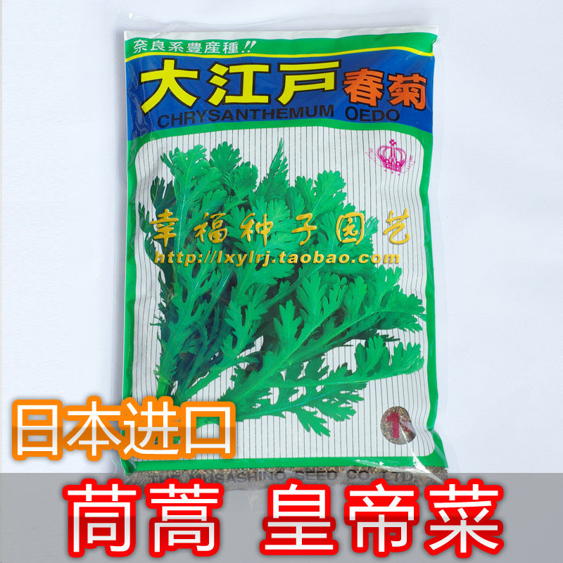 日本皇帝菜【大江户春菊】武藏香茼中叶茼蒿菜种子唐蒿菜清香味浓