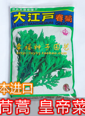 日本皇帝菜【大江户春菊】武藏香茼中叶茼蒿菜种子唐蒿菜清香味浓