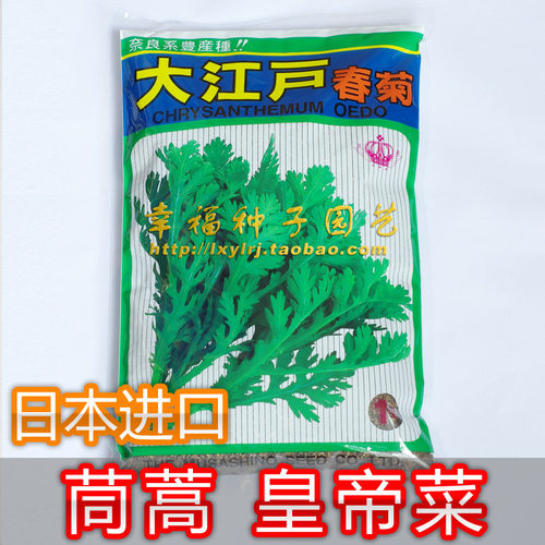 日本皇帝菜【大江户春菊】武藏香茼中叶茼蒿菜种子唐蒿菜清香味浓