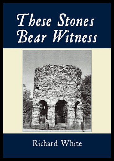 【预售】These Stones Bear Witness