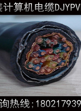 铠装计算机电缆DJYPVP22-1*2*0.75（厂家直销 准确价格电议）