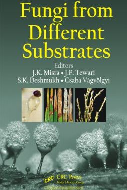 【预售】Fungi from Different Substrates