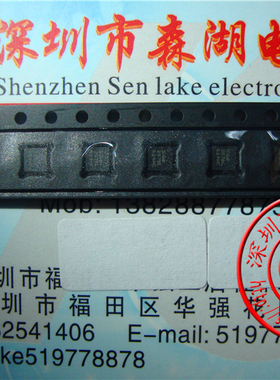 SE2576L-R SE2576L SIGE2576L SKYWORKS QFN 原装正品