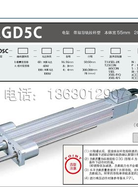 IAI电缸 RCS2-RGD5C系列 一体式伺服电缸 直线丝杆推杆 模组