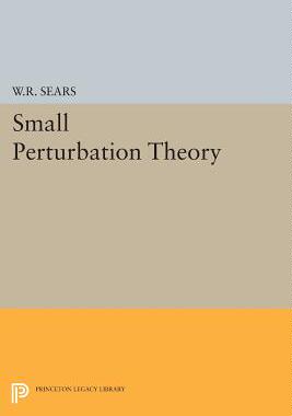 【预售】Small Perturbation Theory