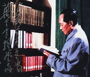 毛泽东读书集成 社 中央文献出版 正版 1893 1976全259卷16开