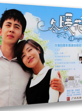 正版电视剧 冬暖花会开 珍藏版 11DVD 邓家佳 潘红