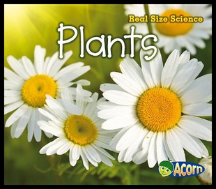 【预售】Plants: Real Size Science