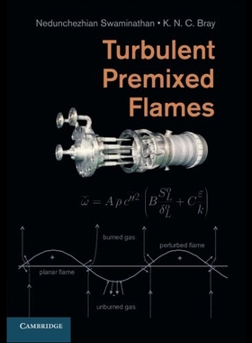 【预售】Turbulent Premixed Flames