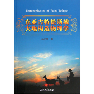 东亚古特提斯域大地构造物理学