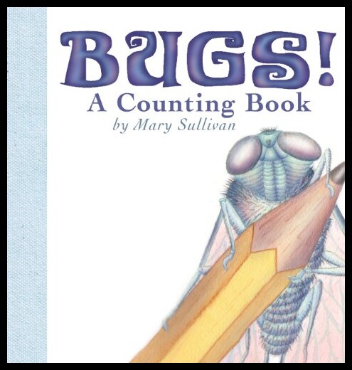 a counting book