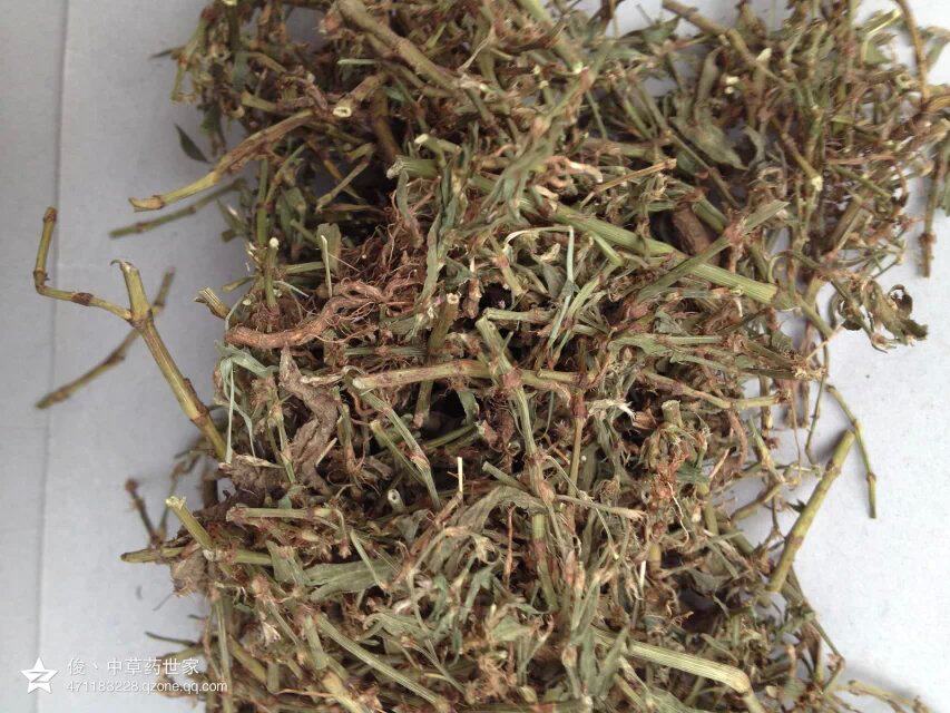 中草药材萹蓄 扁竹 斑鸠台 大蓄片 竹节草 大铁马鞭 扁蓄